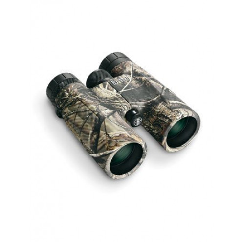 Bushnell Powerview 10x42 (2008)