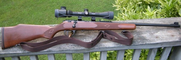 Marlin 882, chambered for .22 WMR