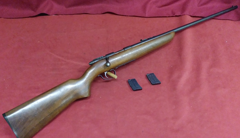Remington 511, chambered for .22 LR 