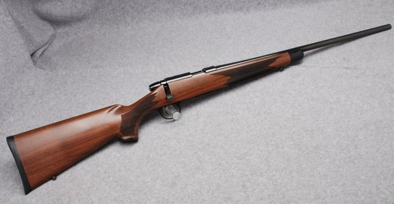 Remington 547, chambered for .17 HMR 