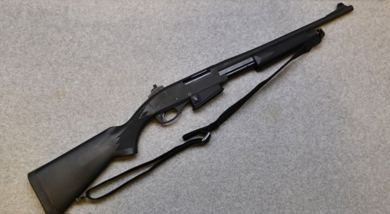 Remington 7615, chambered for .223 Rem.